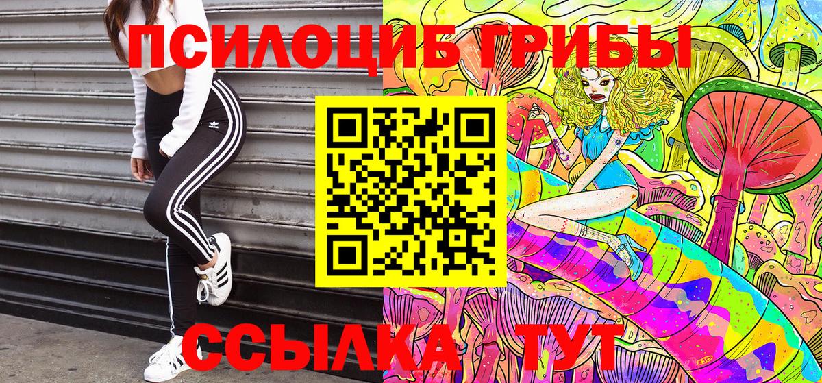 Искитим  Галлюциногенные грибы Psilocybe  цены наркотик  Вход с VPN 