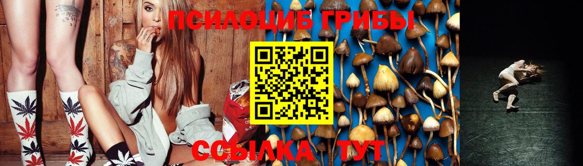 Галлюциногенные грибы GOLDEN TEACHER Искитим